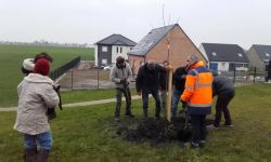 Plantations Cavalier   047